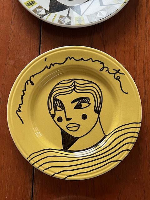 side eye plate