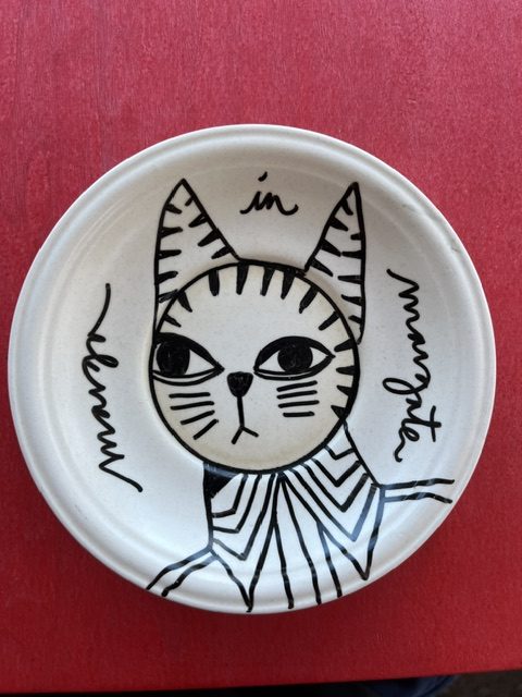 furrowed cat
